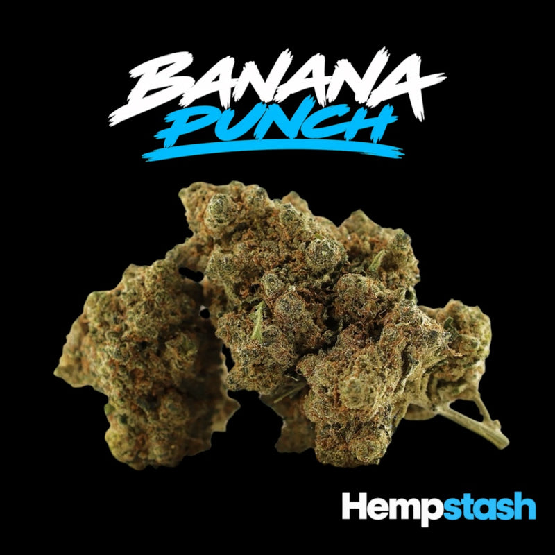 Hemp Flower | Banana Punch Delta-10 | 50% HempStash