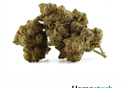 Hemp Flower | Porn Stars G Delta-10 | 50% HempStash
