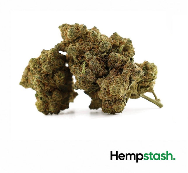 Hemp Flower | Porn Stars G Delta-10 | 50% HempStash