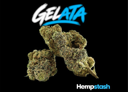 GELATA HempStash