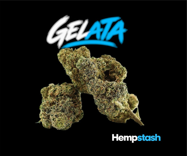 GELATA HempStash
