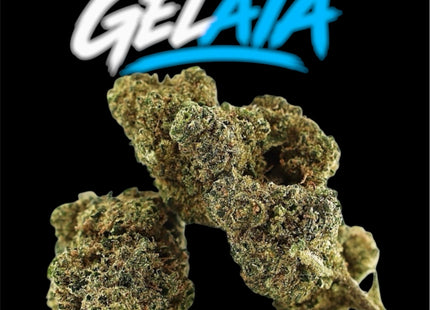 GELATA HempStash