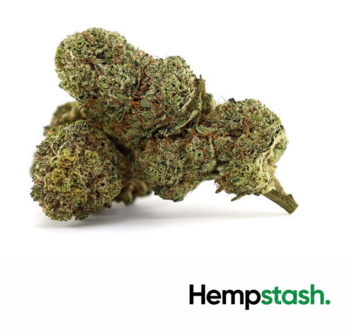 Hemp Flower | 3L Yoda ice cream Delta-10 | 50% HempStash